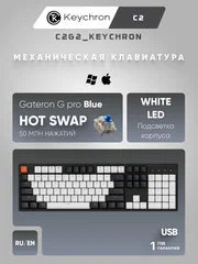 Keychron C2 104 key Gateron g PRO Blue, HOTSWAPP, White Led, c2g2 o'yin mexanik klaviaturasi