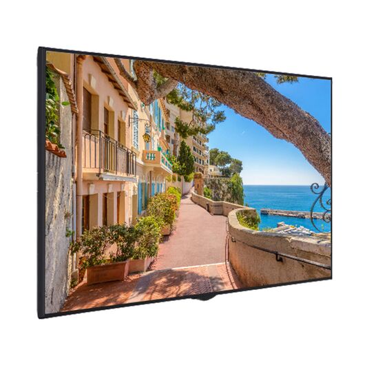 Proffessional Display Standalone QBC 65