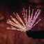 Twinkly Spitzer RGB Gen II 200 aqlli girlyandasi