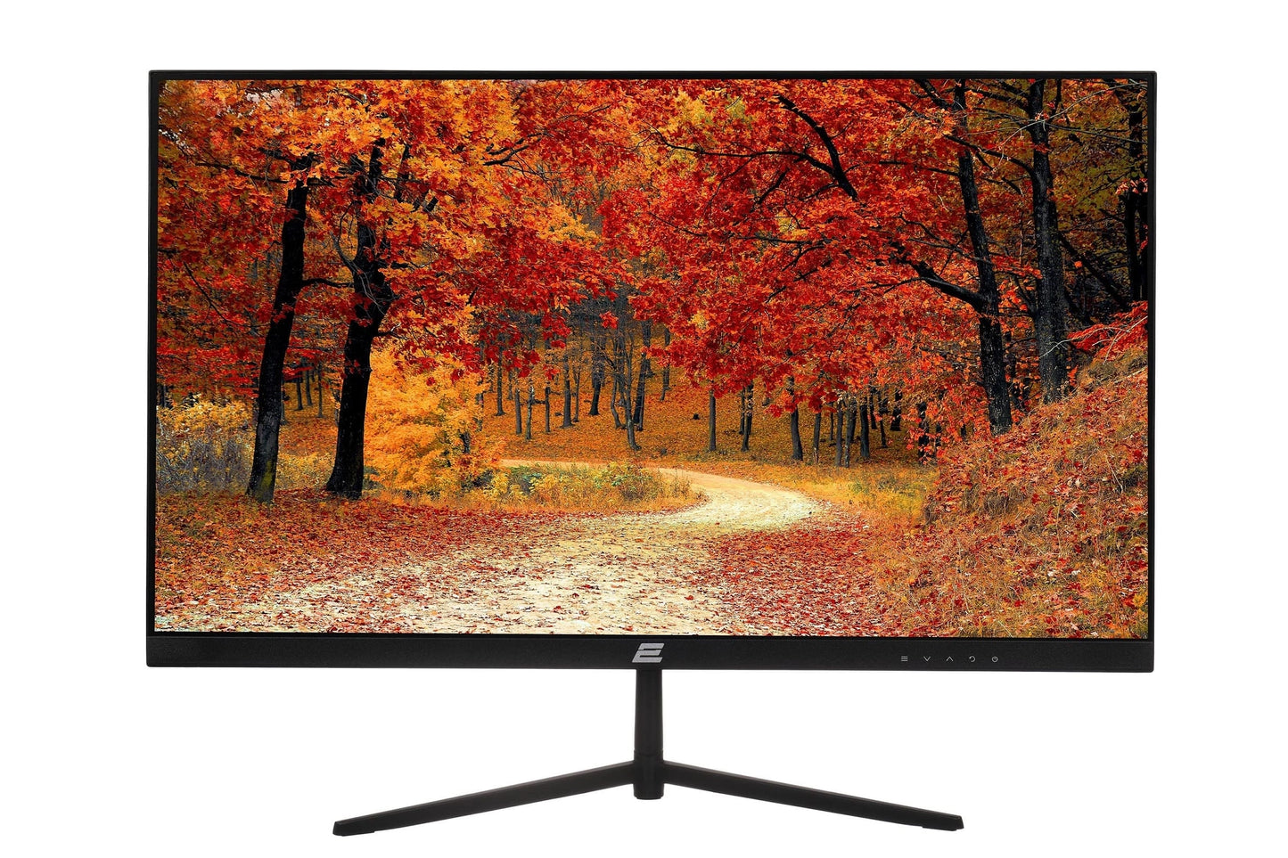 2E 23.8" D2421B monitori