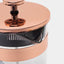 French-press choynak, pompa bilan, qahva va choy uchun 800 ml