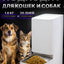 Hayvonlar uchun aqlli avtooxur Xiaomi Smart Pet Food Feeder, masofadan boshqaruv bilan
