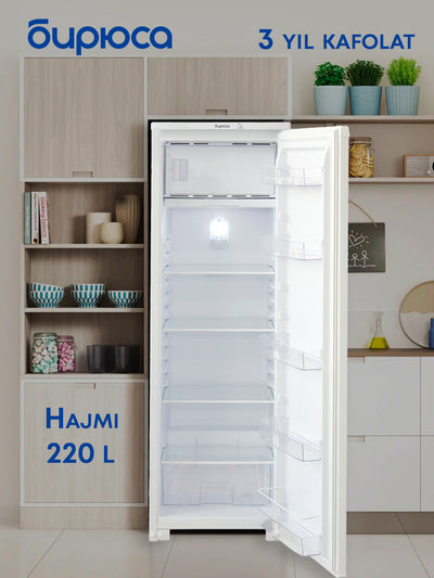 Sovutgich Biryusa, BIRYUSA-107 modeli, hajmi 220 litr
