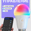 Govee H6009 aqlli chirogi, RGBW, smartfondan boshqarish, jadval boyicha ishlash