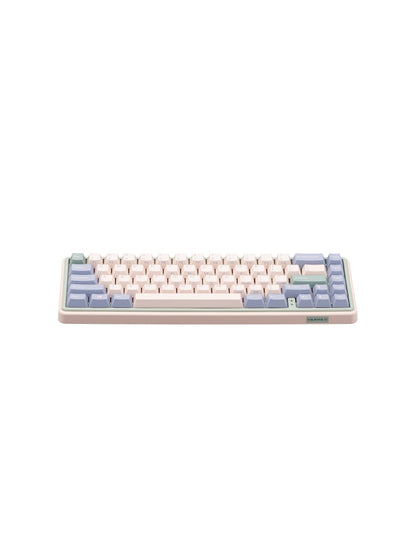 Varmilo klaviaturasi Minilo VXT67 HOT-SWAP Eucalyptus Kailh Prestige BT/WL/USB-A, Hot-Swap