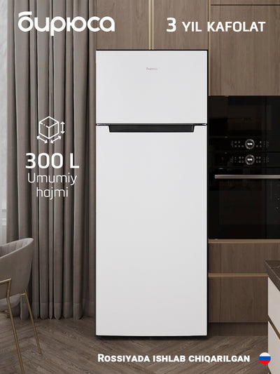 Ikki kamerali sovutgich Biryusa 6035, hajmi 300 litr, LED yoritish