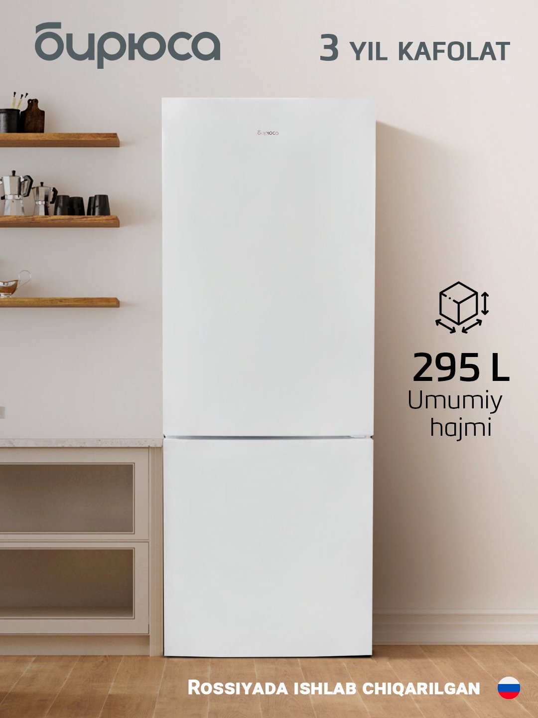 Ikki kamerali Biryusa 6034 sovutgichi, hajmi 295 litr