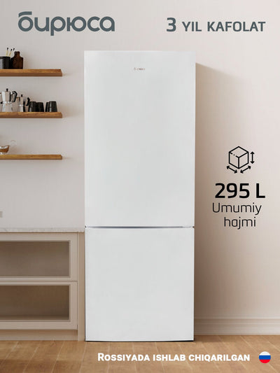 Ikki kamerali Biryusa 6034 sovutgichi, hajmi 295 litr