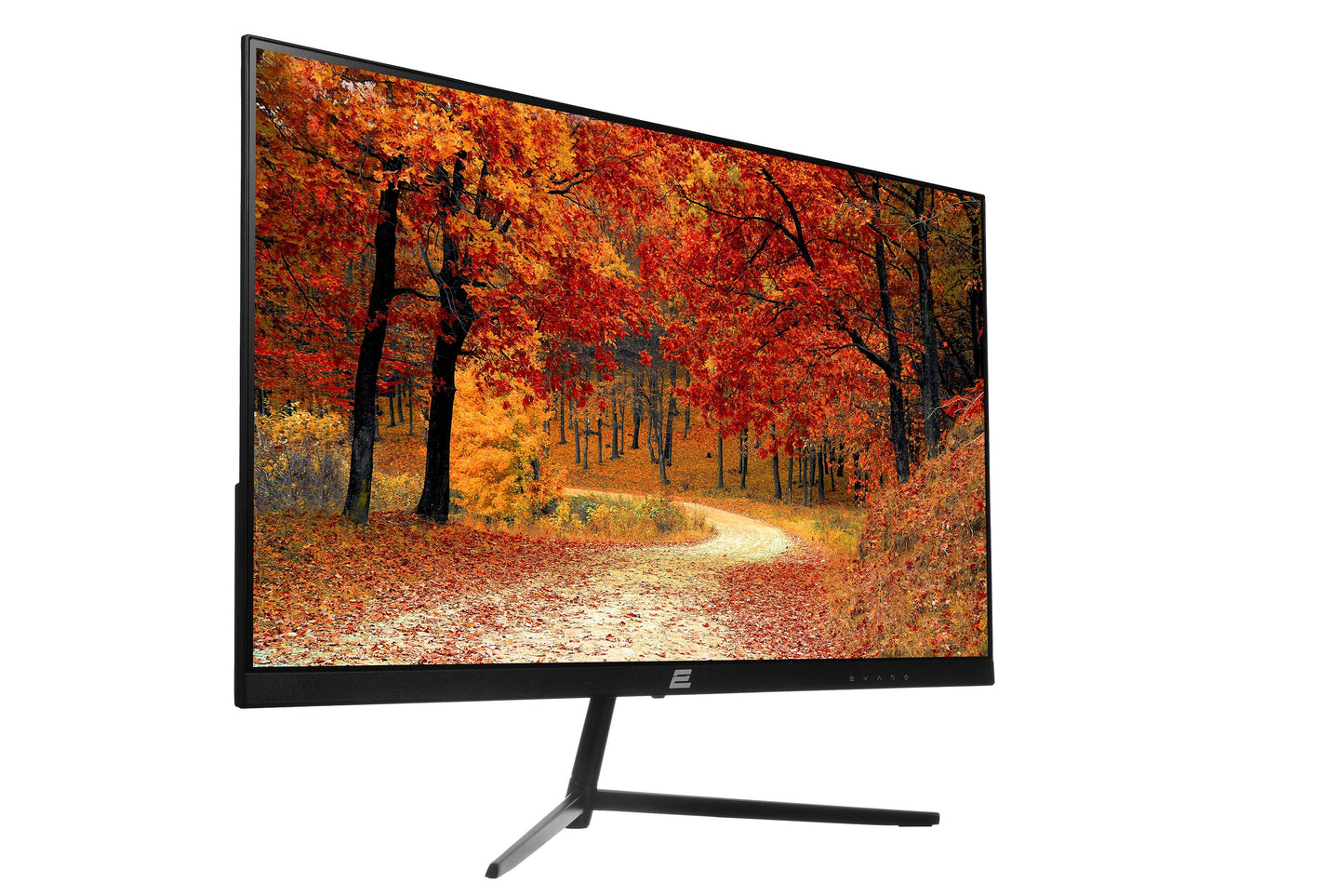 2E 23.8" D2421B monitori