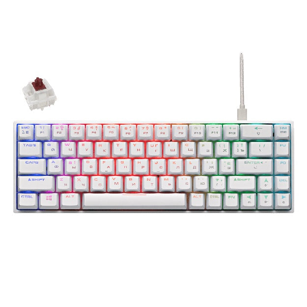 Oyin klaviaturasi 2E GAMING KG370 RGB 68 tugmali Gateron Brown Switch USB