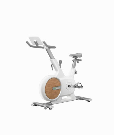 Axelus ax018 statsionar velosipedi, magnit, professional