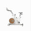 Axelus ax018 statsionar velosipedi, magnit, professional