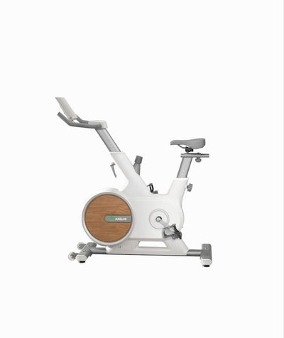 Axelus ax018 statsionar velosipedi, magnit, professional